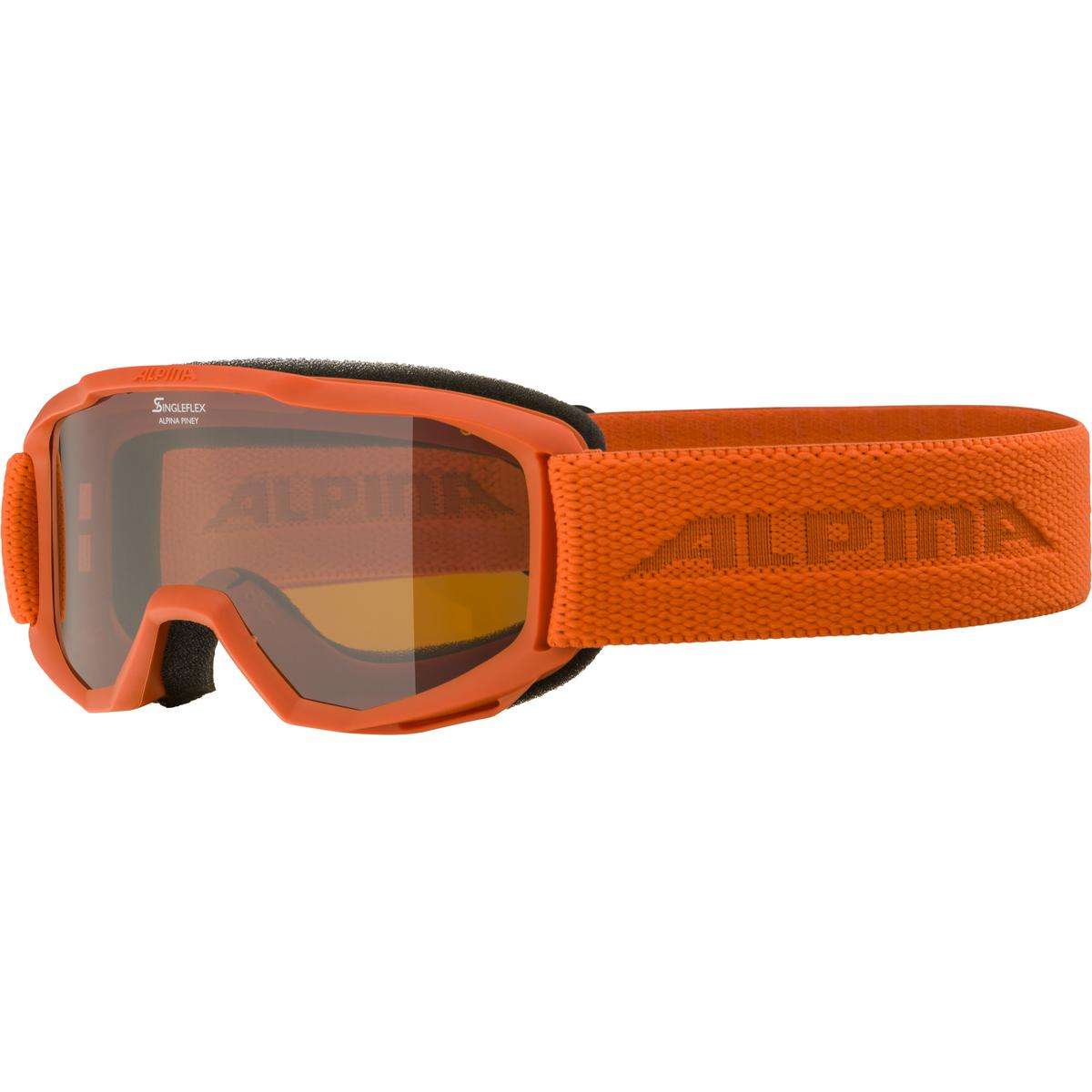 Ski goggles by Alpina Sports USA