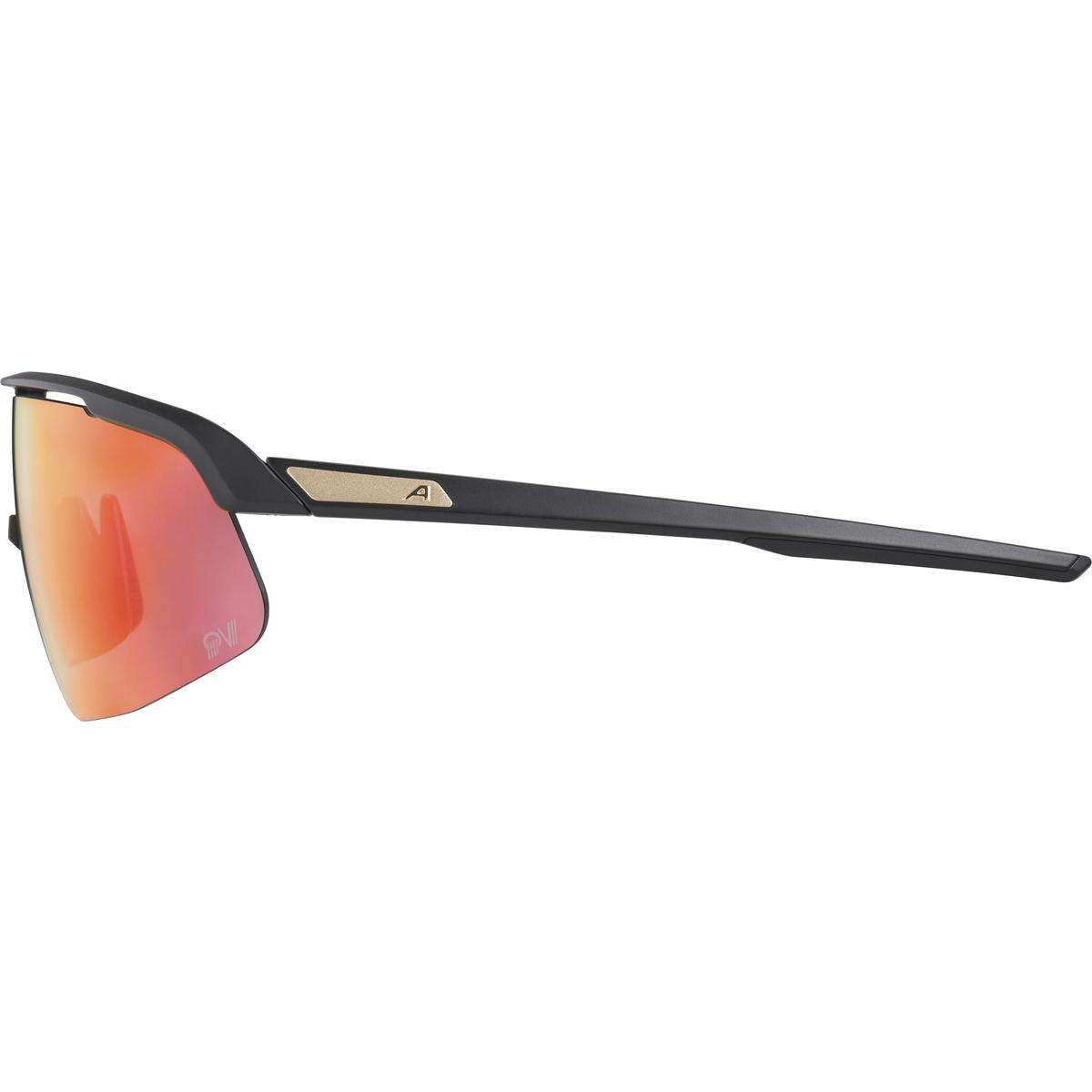 ALPINA スポーツメガネ 楽天市場】ALPINA アルピナ スポーツ サングラス メンズ 大人 ミラー