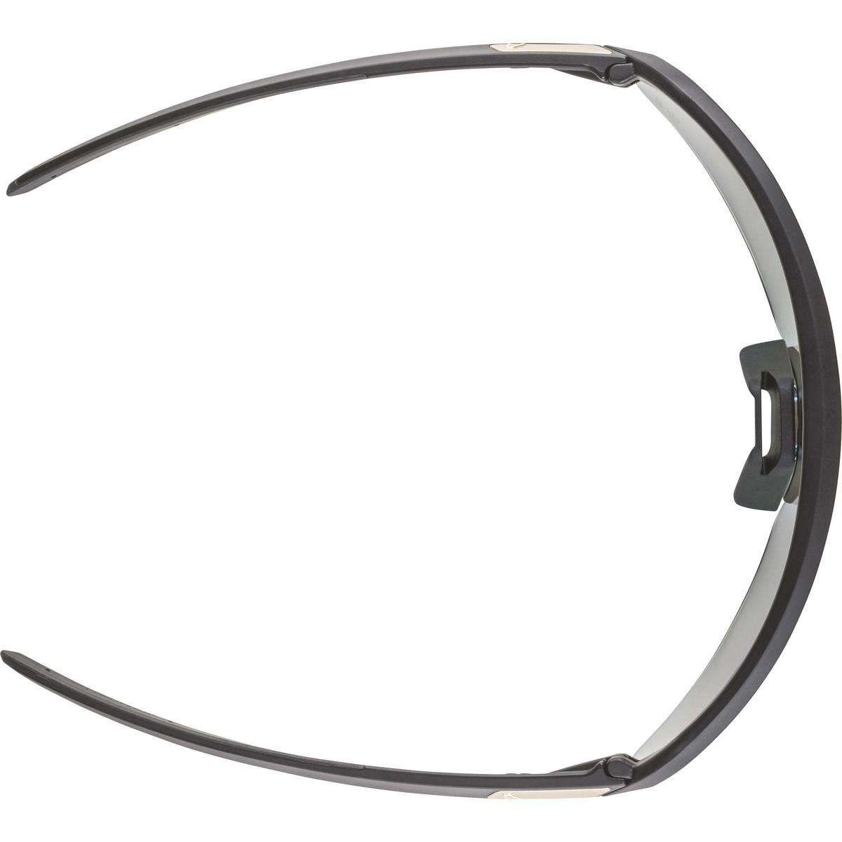 TURBO PRO S QV | sports glasses | Eyewear | alpina sports