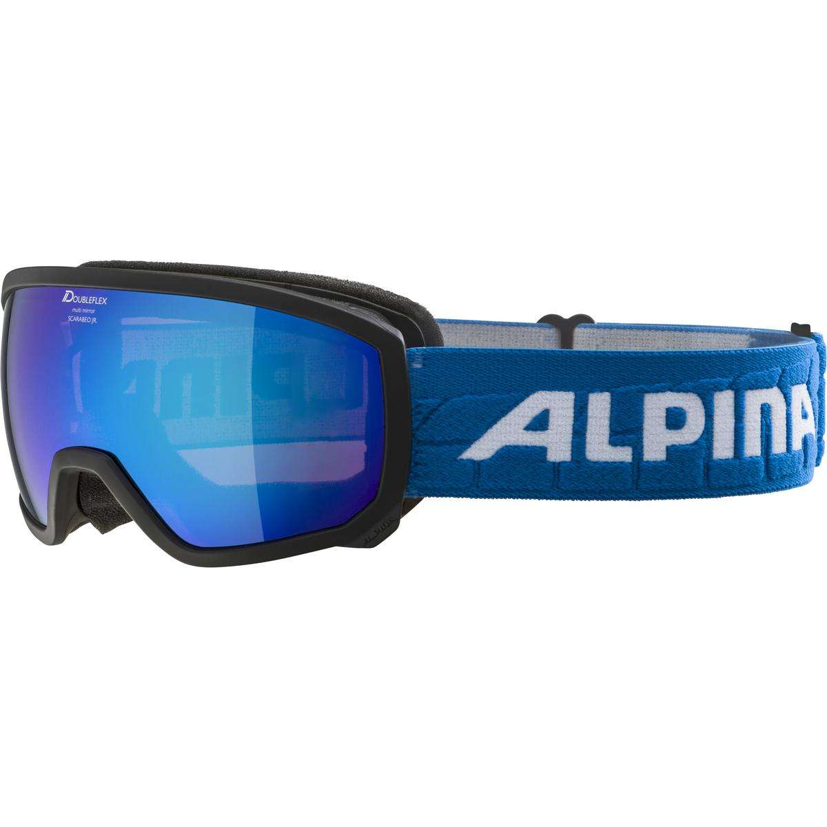 Ski goggles by Alpina Sports alpina sports
