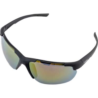DEFEY HR | sports glasses | Eyewear | alpina sports