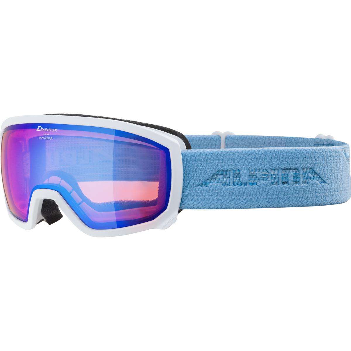 Ski goggles by Alpina Sports alpina sports