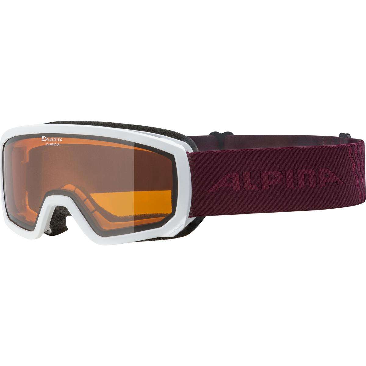 Ski goggles by Alpina Sports alpina sports